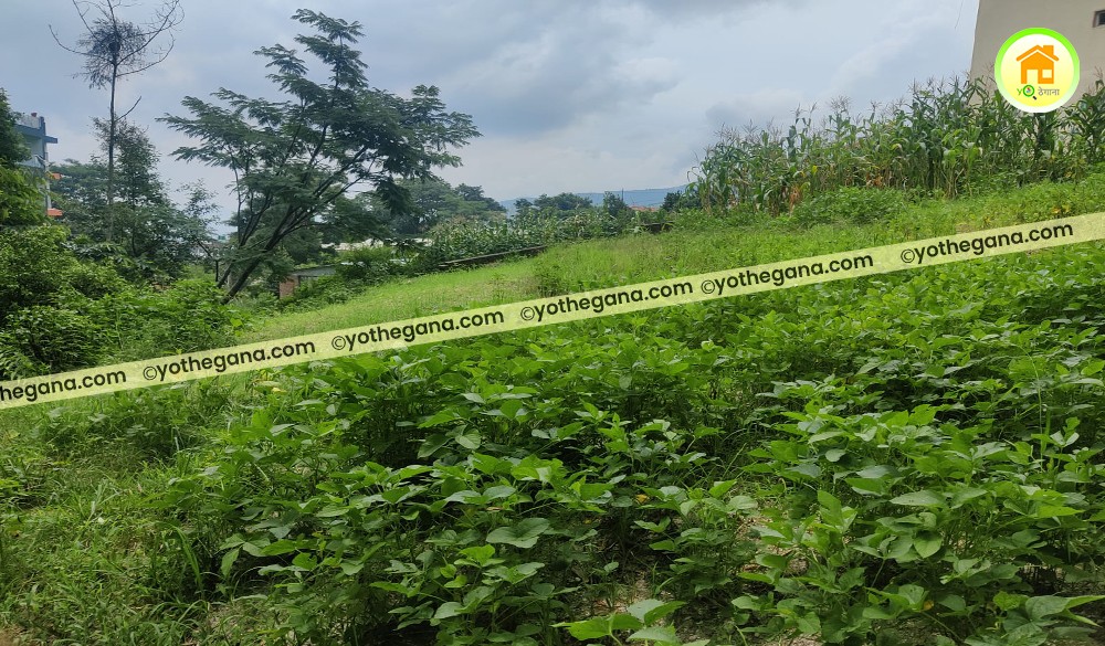 Land for Sale near Simleshwor Mahadev Temple, Kavresthali, Kathmandu