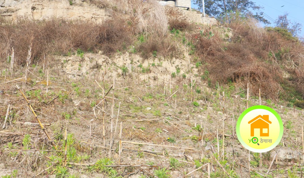 Land for sale at ,Tarkeshwar, Dhakaltar, Kathmandu