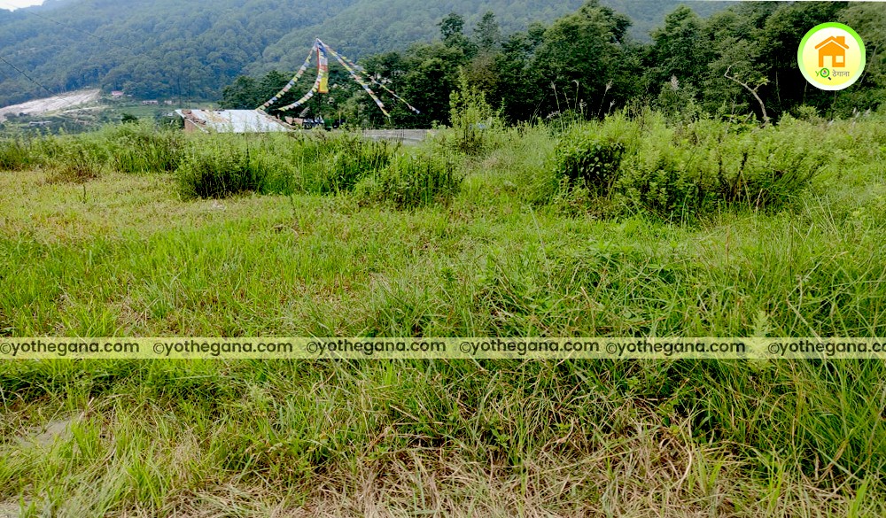 land for sale at, kavresthali, Tarakeshwor Municipality, Kathmandu.